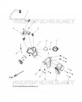 FUEL SYSTEM, FUEL RAIL/CUERPO DE MARIPOSA
