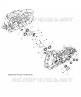 CRANKCASE BEARINGS - N15CCC/CCV ALL OPTIONS (49INDIANCRANKCASEBRG14)