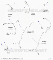 ELECTRICA, HARNESS/JUMPERS