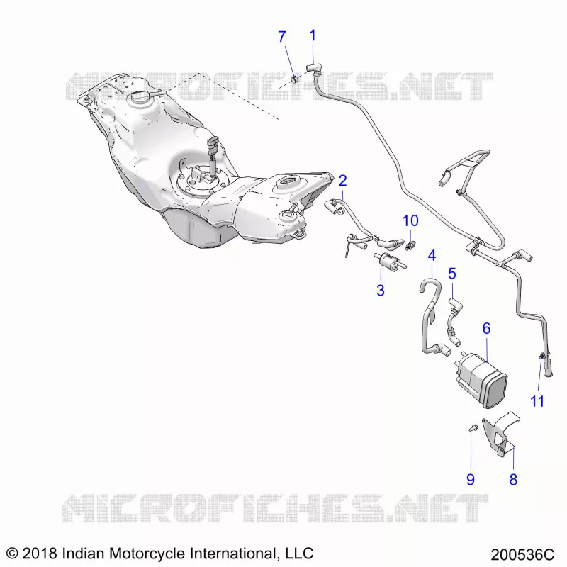 GASOLINA LINES AND CANISTER (EVAP)