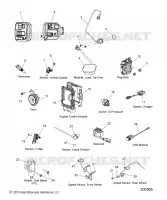 ELECTRICA, COMPONENTS