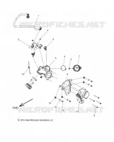 FUEL SYSTEM, FUEL RAIL/CUERPO DE MARIPOSA