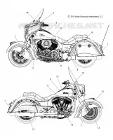 DECALS - N14CCC/CCV/TCA ALL OPTIONS (49INDIANDECALSS14)