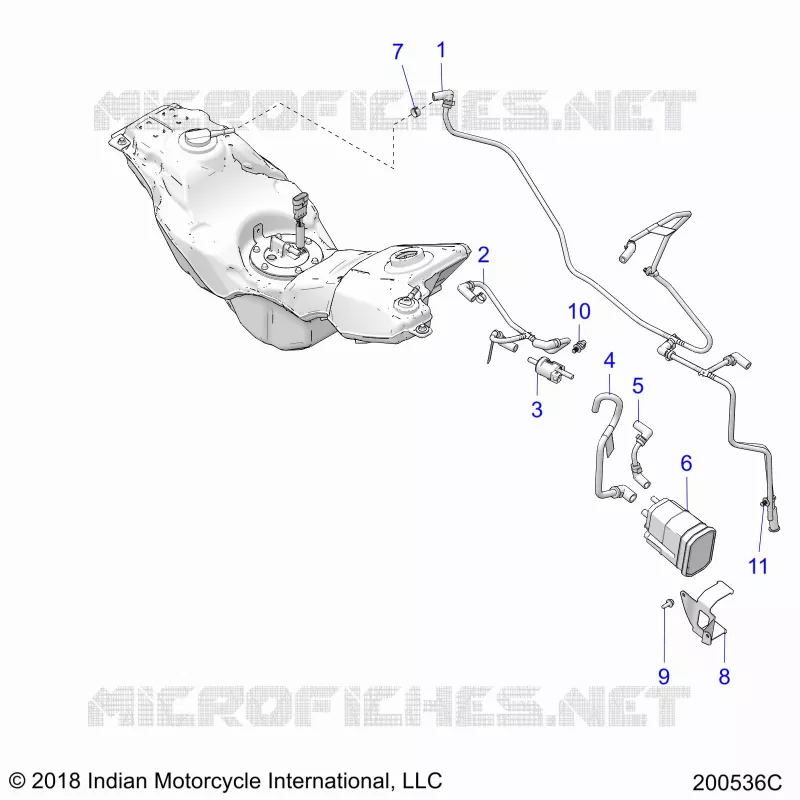 GASOLINA LINES AND CANISTER (EVAP)