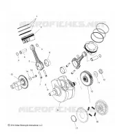 ENGINE, PISTON AND CIGUEÑAL