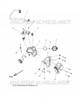 FUEL SYSTEM, FUEL RAIL/CUERPO DE MARIPOSA