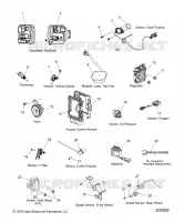 ELECTRICA, COMPONENTS