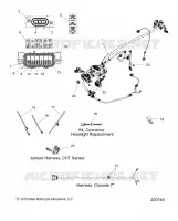 ELECTRICA, WIRE HARNESS