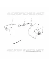 FUEL SYSTEM, EVAP SYSTEM - N17CCC/CCV CAL. ONLY (49INDIANEVAP14)