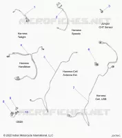 ELECTRICA, HARNESS/JUMPERS